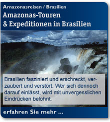 Amazonas-Reisen-Regenwald, Tierwelt und Pflanzenwelt kennenlernen